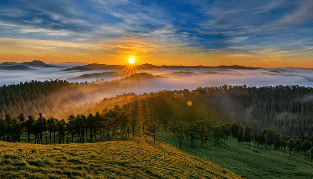 Đồi Đa Phú là địa điểm săn mây với tầm nhìn ôm trọn thành phố Đà Lạt từ trên cao